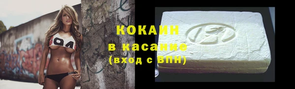 шишки Абинск