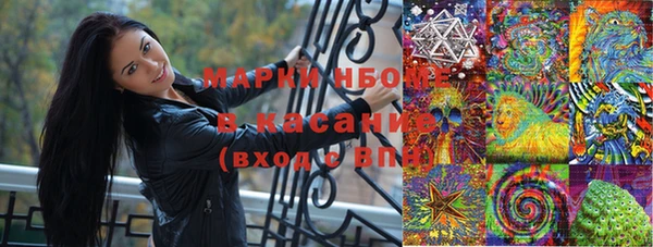 шишки Абинск