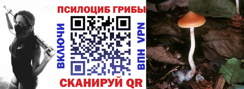 Псилоцибиновые грибы Magic Shrooms  Урус-Мартан 