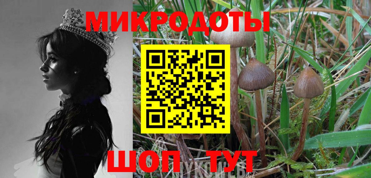 Псилоцибиновые грибы мухоморы Урус-Мартан