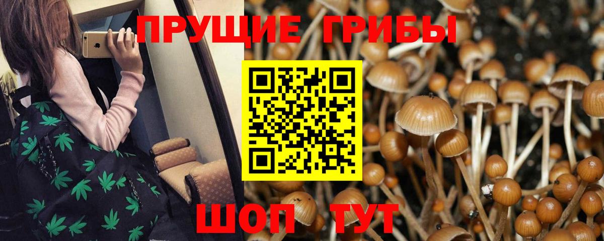 Псилоцибиновые грибы Psilocybine cubensis  Псилоцибиновые грибы Cubensis  Вход с VPN  магазин продажи наркотиков  Урус-Мартан 